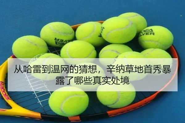 从哈雷到温网的猜想，辛纳草地首秀暴露了哪些真实处境